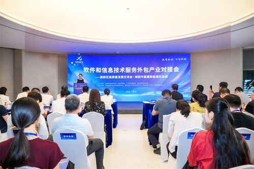 雄安高新區(qū)成功舉辦軟件和信息技術(shù)服務(wù)外包產(chǎn)業(yè)對接會(huì)，共筑產(chǎn)業(yè)新生態(tài)